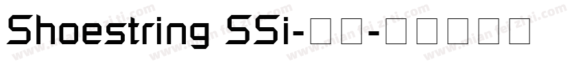 Shoestring SSi-常规字体转换